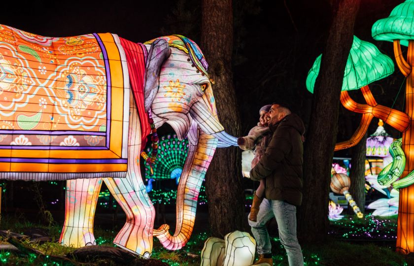 Light Safari van start bij Beekse Bergen