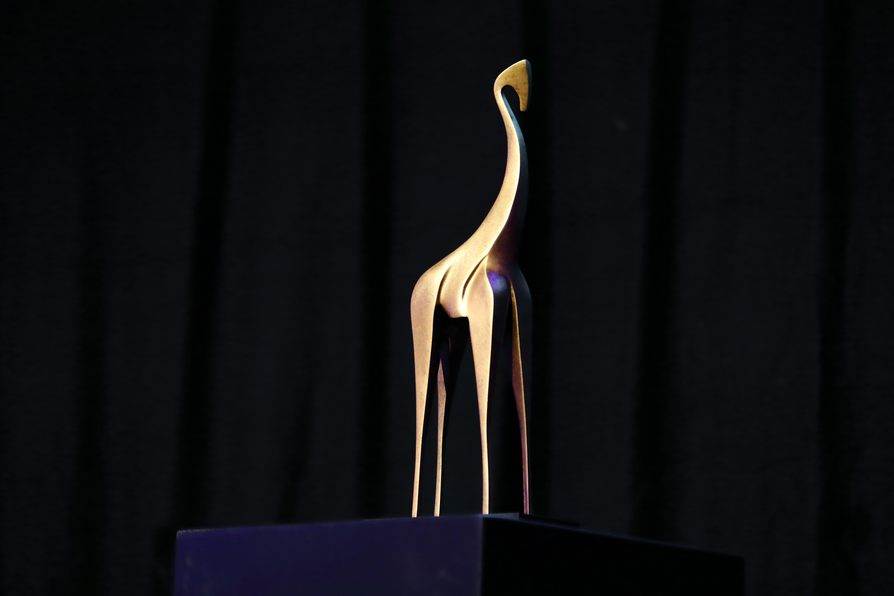 Gezocht: diverse winnaars van de Gouden Giraffe